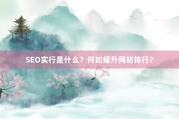 SEO实行是什么？何如擢升网站排行？