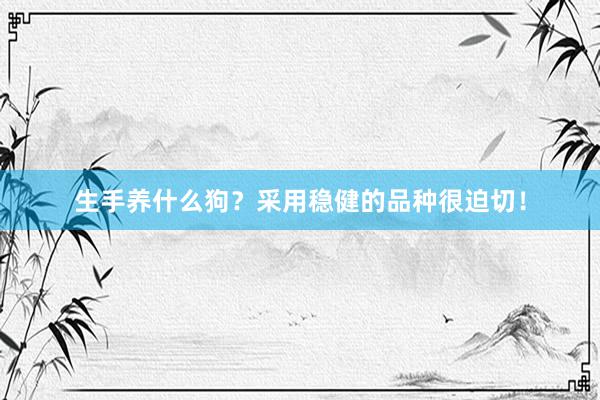 生手养什么狗？采用稳健的品种很迫切！